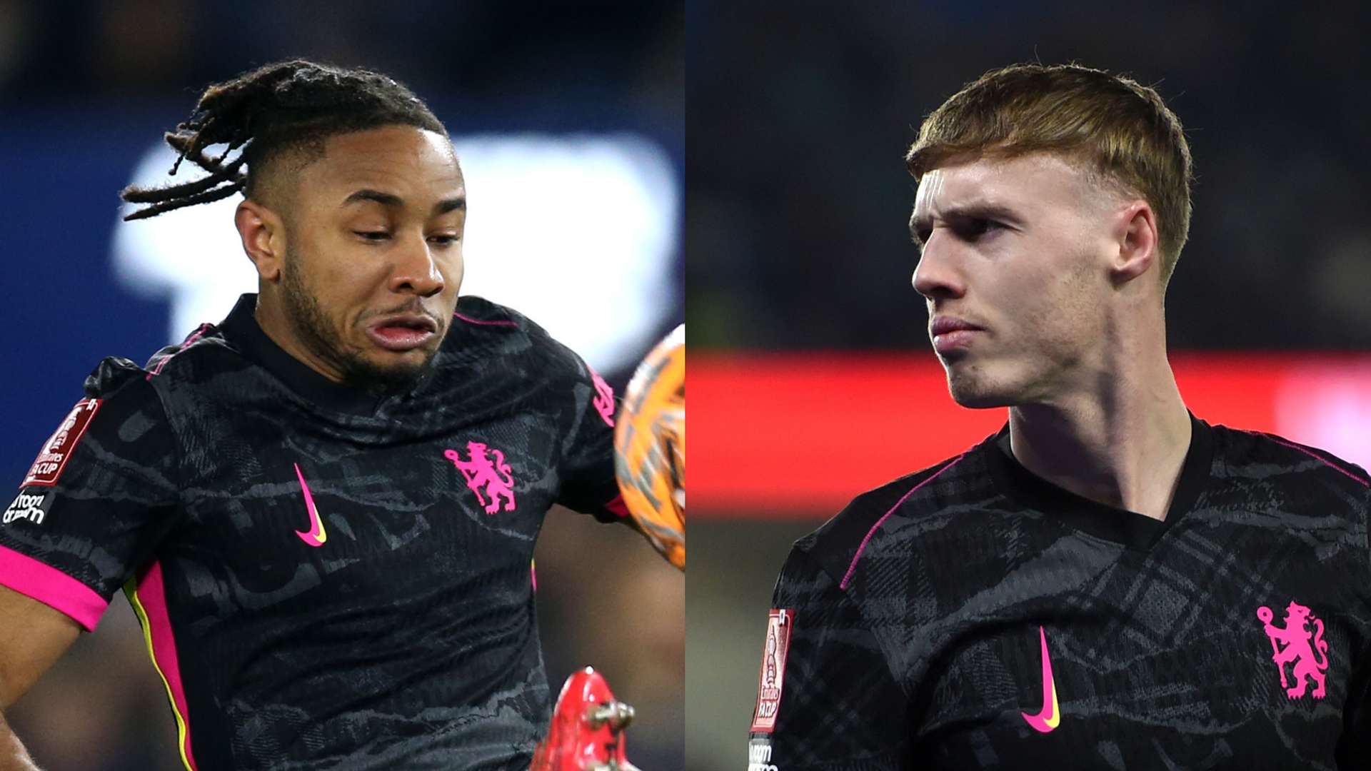 备受认可 备受认可